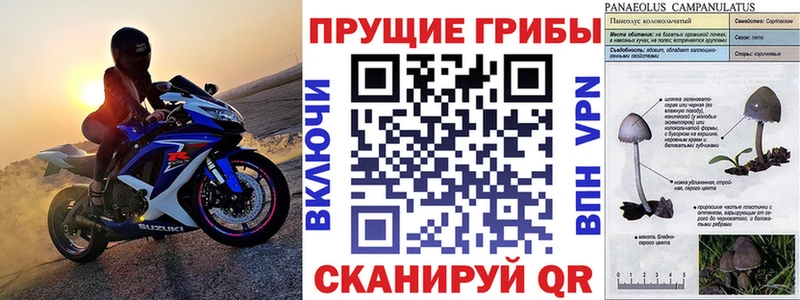 Псилоцибиновые грибы прущие грибы  где можно купить   Заполярный 